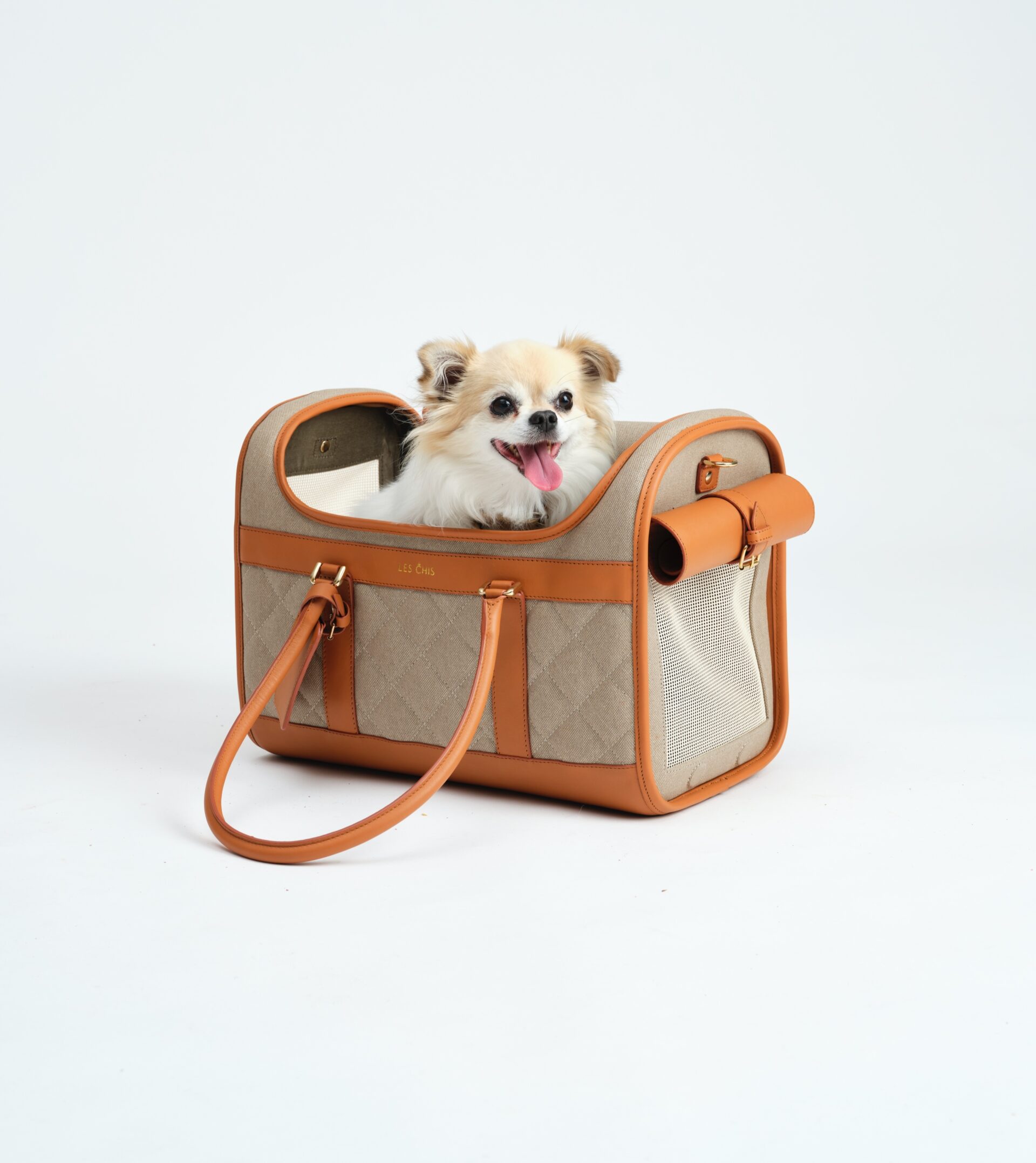 Moqo Les Chis hondjes 02 06 20210580